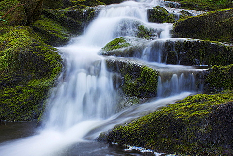 Waterfall, Glen Artney, near Crieff, Perthshire, Scotland, United Kingdom, Europe