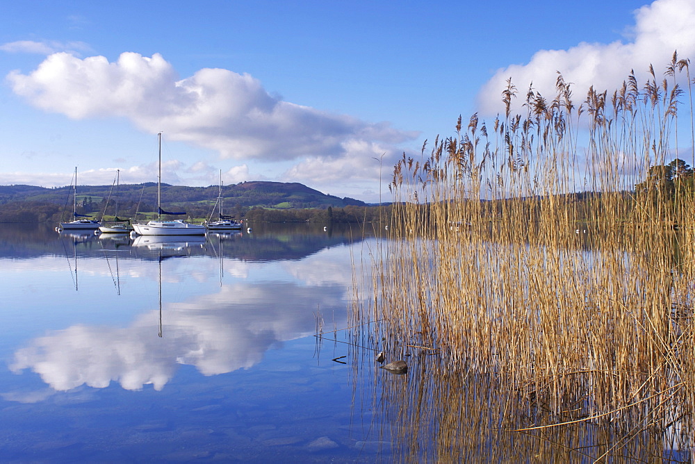 Sunrise, Ambleside, Lake Windermere, Lake District National Park, Cumbria, England, United Kingdom, Europe