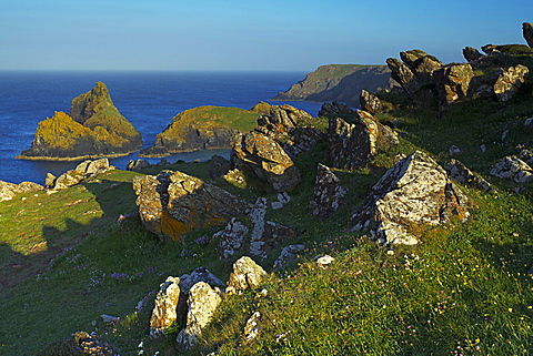 Kynance Cove, The Lizard, Cornwall, England, United Kingdom, Europe