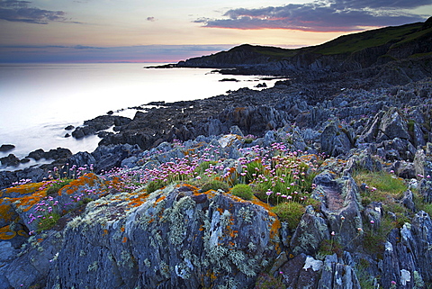 Bull Point, North Devon, Devon, England, United Kingdom, Europe