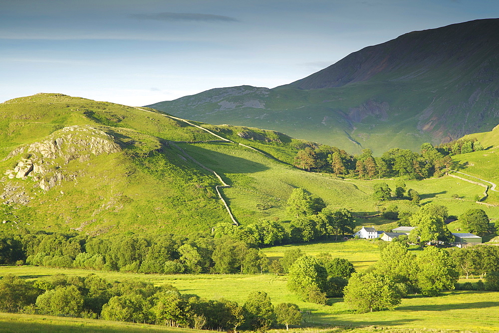 Matterdale Common, near Dale Bottom, Lake District National Park, Cumbria, England, United Kingdom, Europe