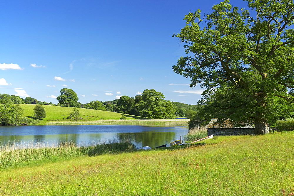 Esthwaite Water, Lake District National Park, Cumbria, England, United Kingdom, Europe