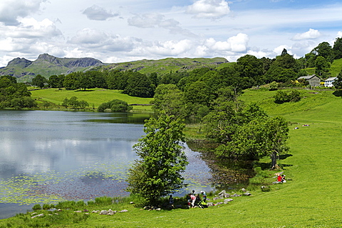 Loughrigg Tarn, Lake District National Park, Cumbria, England, United Kingdom, Europe