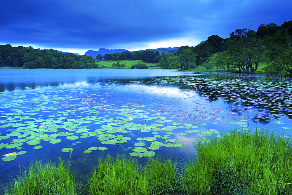 Loughrigg Tarn, Lake District National Park, Cumbria, England, United Kingdom, Europe