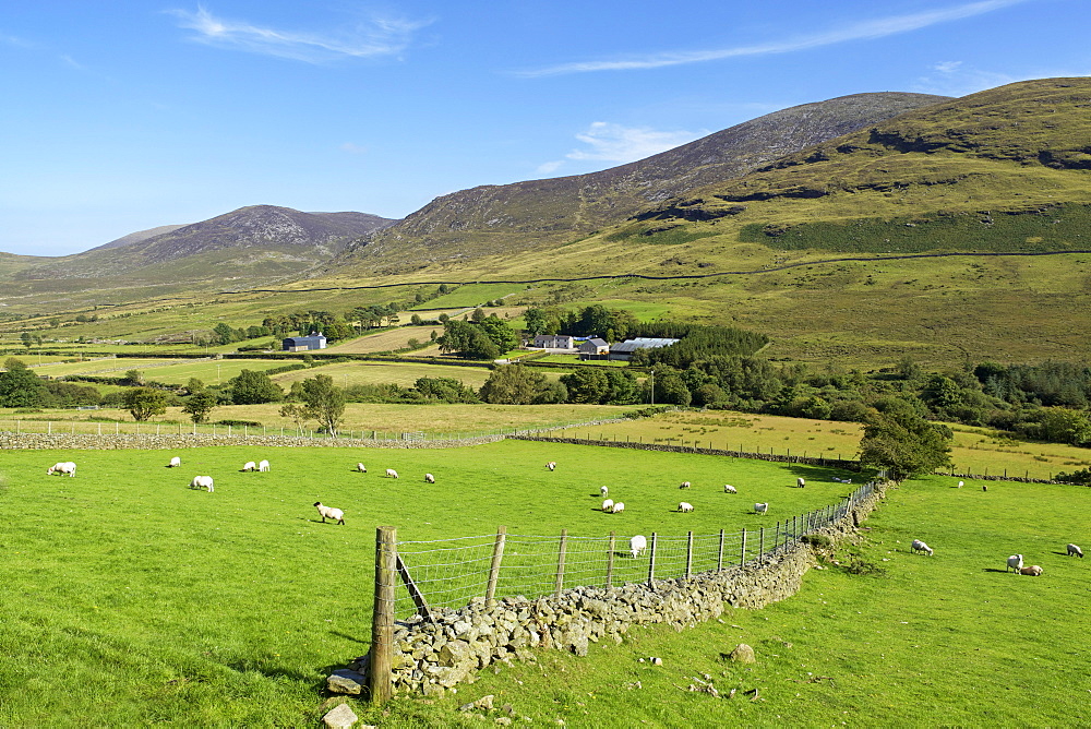 Luke's Mountain, Mourne Mountains, County Down, Ulster, Northern Ireland, United Kingdom, Europe