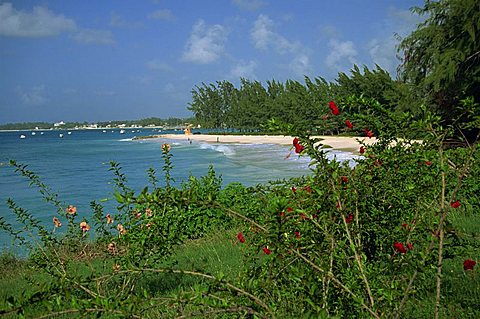 Enterprise Beach, Barbados, West Indies, Caribbean, Central America