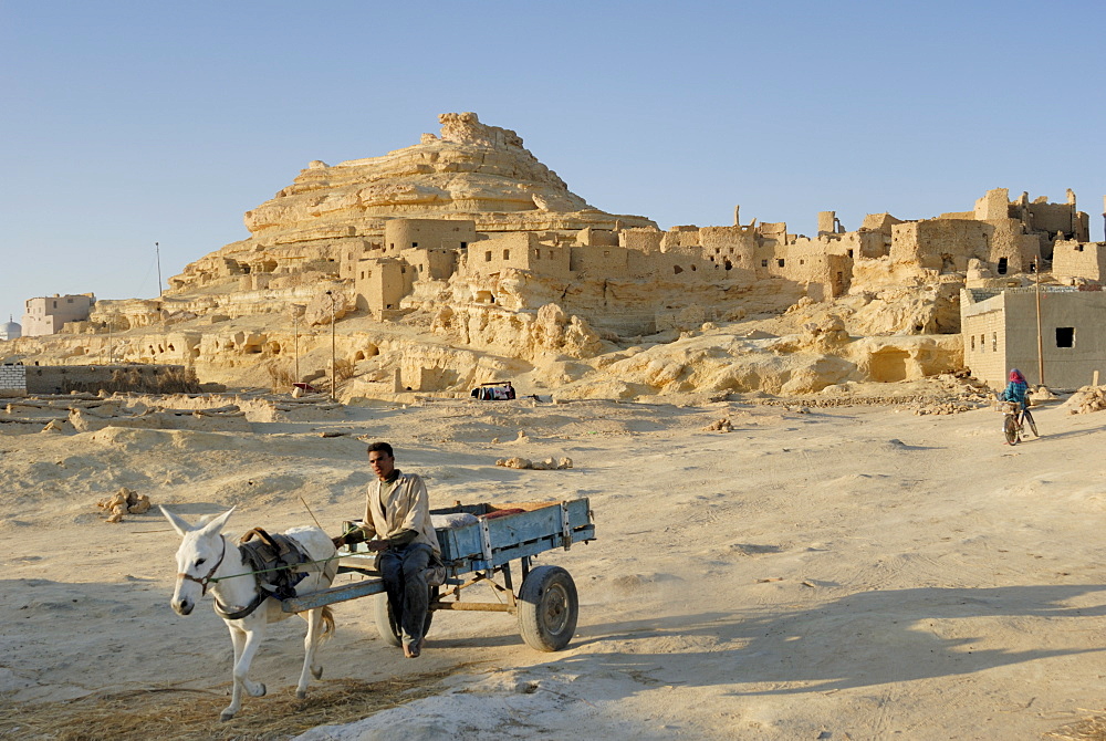 Old town of Shali, Oasis of Siwa, Egypt, North Africa, Africa