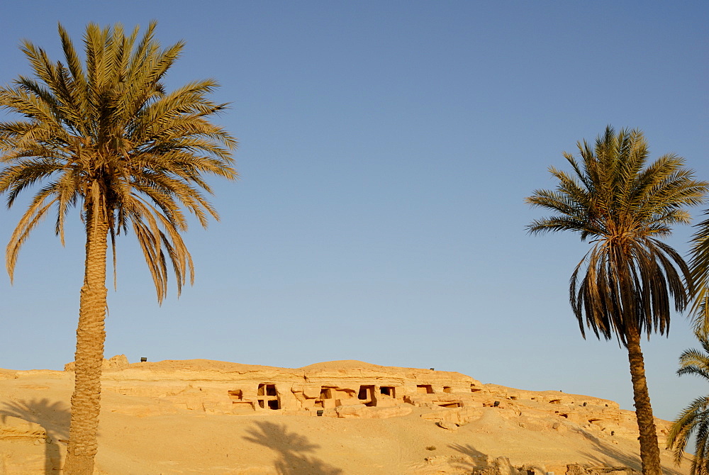 Jabal el Mawta (Mountain of the Dead), Oasis of Siwa, Egypt, North Africa, Africa