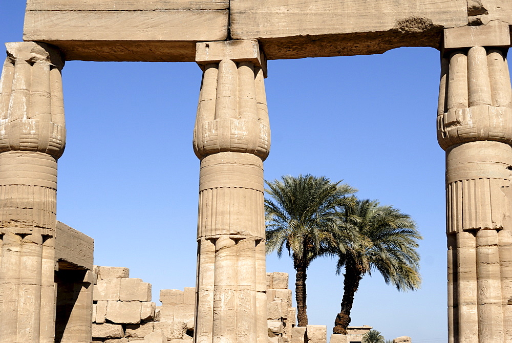 Temple of Karnak, near Luxor, Thebes, UNESCO World Heritage Site, Egypt, North Africa, Africa