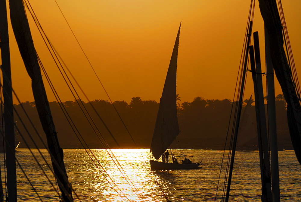 Feluccas on the River Nile, Aswan, Egypt, North Africa, Africa