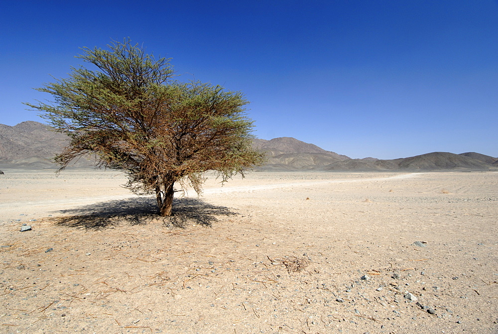 Nubian desert, Sudan, Africa