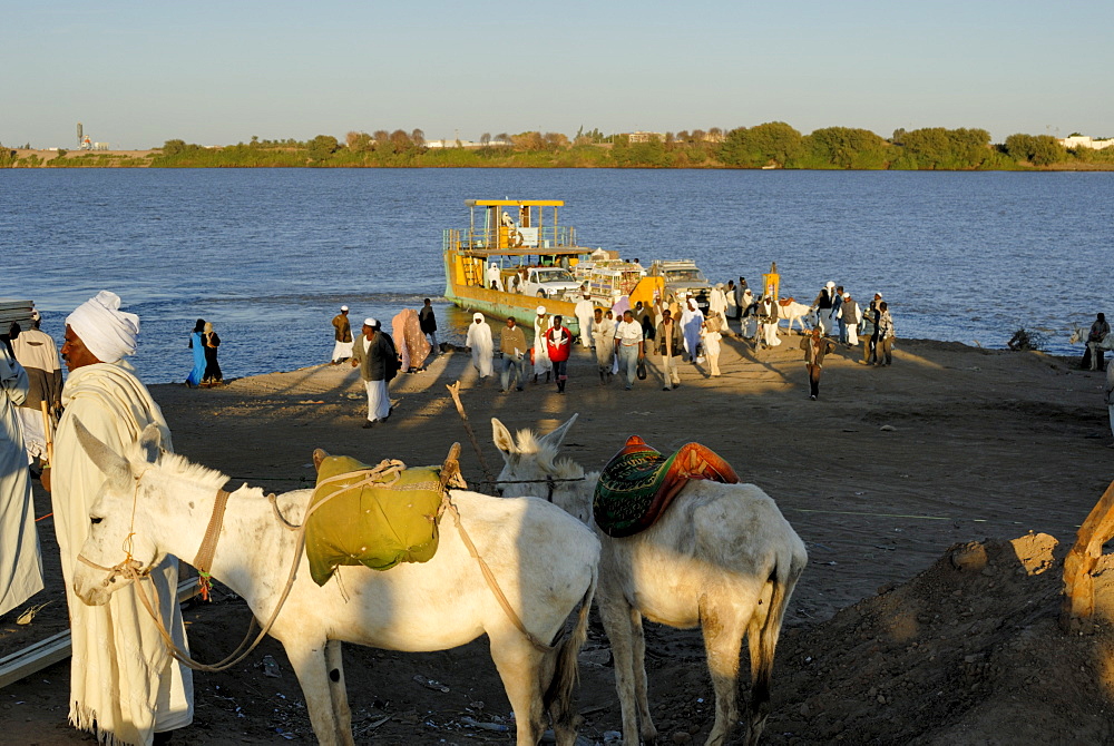 Ferry across the River Nile, Sudan, Africa