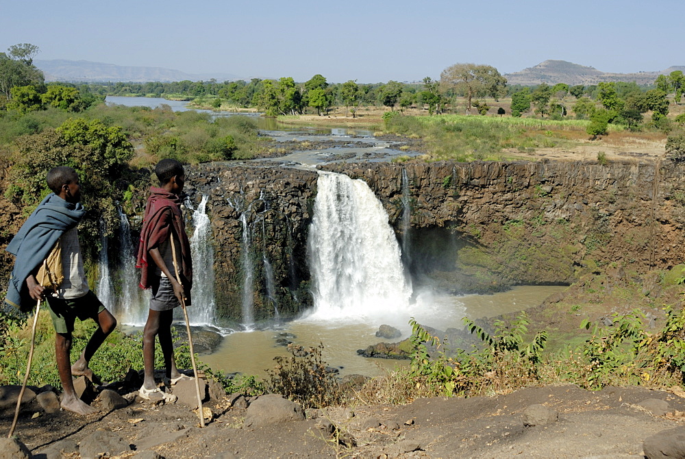 Goat herds, Blue Nile Falls, Ethiopia, Africa