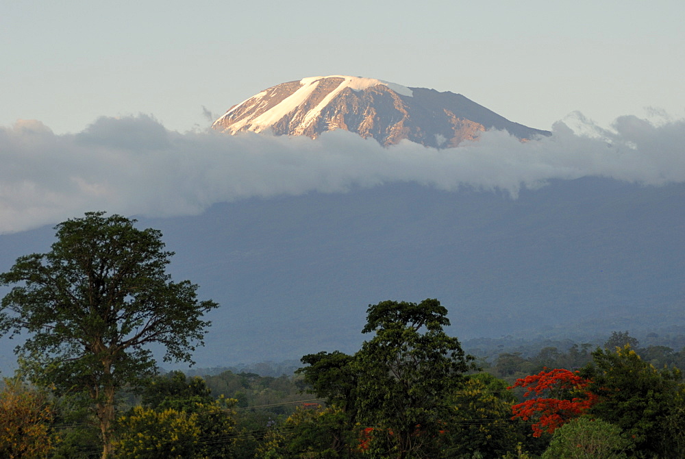 Mount Kilimanjaro, UNESCO World Heritage Site, Tanzania, East Africa, Africa