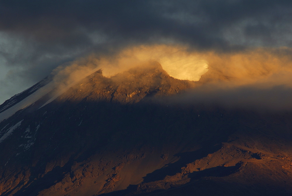 Mount Kilimanjaro, UNESCO World Heritage Site, Tanzania, East Africa, Africa