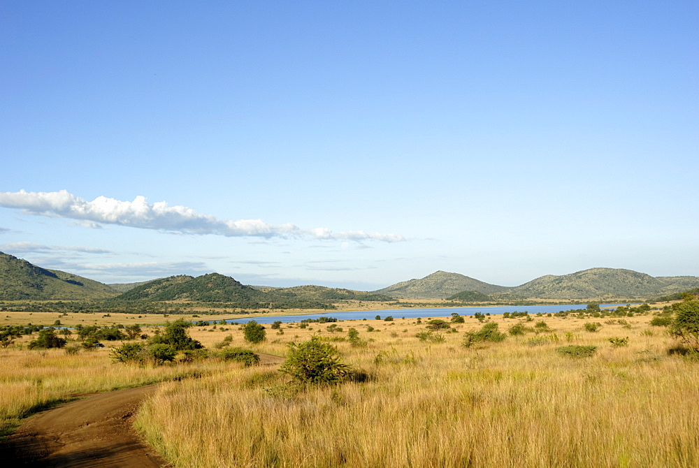 Pilanesberg National Park, South Africa, Africa