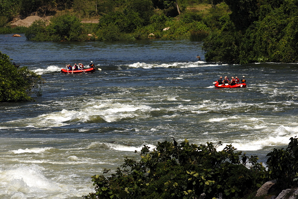 Rapids on the Nile, Uganda, East Africa, Africa