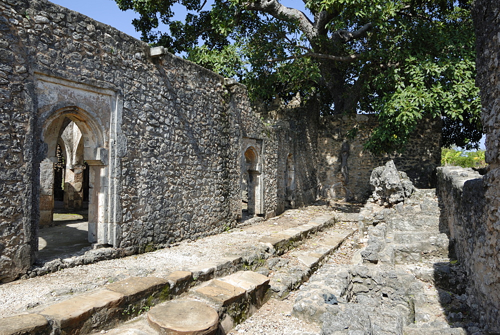 The great mosque, Kilwa Kisiwani Island, UNESCO World Heritage Site, Tanzania, East Africa, Africa