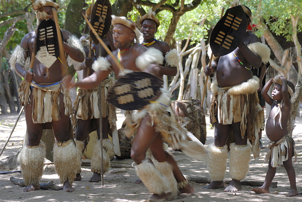 Zulu tribal dance group, Dumazula Cultural Village, South Africa, Africa