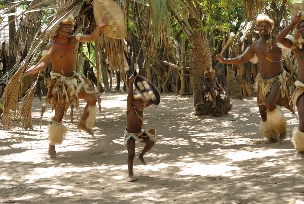 Zulu tribal dance group, Dumazula Cultural Village, South Africa, Africa