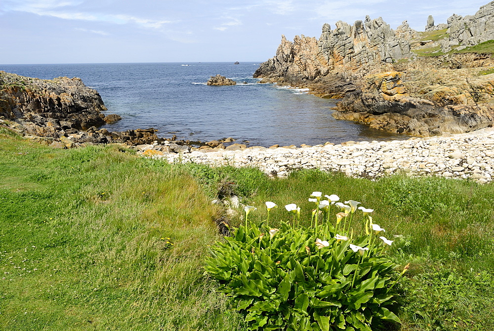 Ushant island, Brittany, France, Europe