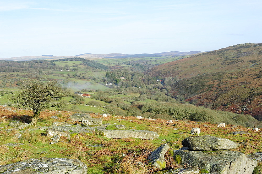 Combs Tor, the area where the film War Horse was filmed, Dartmoor National Park, Devon, England, United Kingdom, Europe