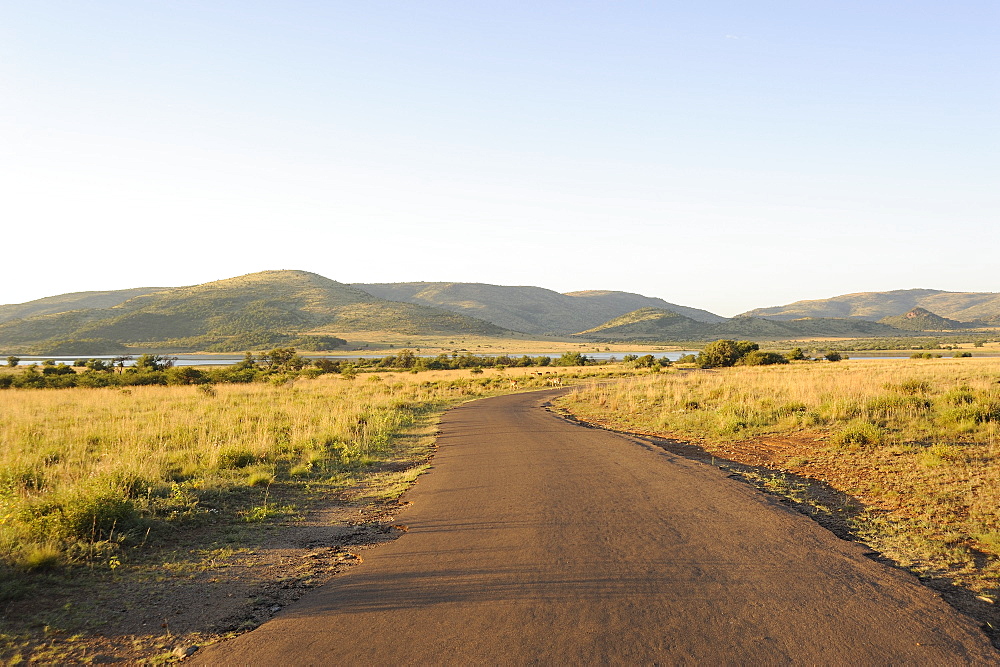 Pilanesberg National Park, Sun City, South Africa, Africa