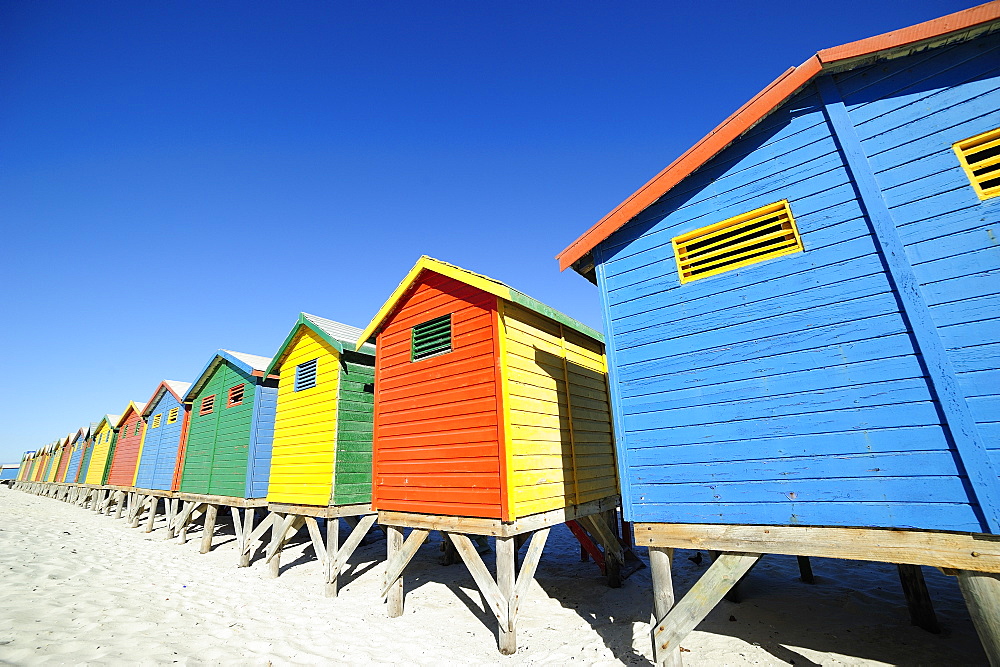 Colourful beach huts, Muizenberg, Cape Province, South Africa, Africa