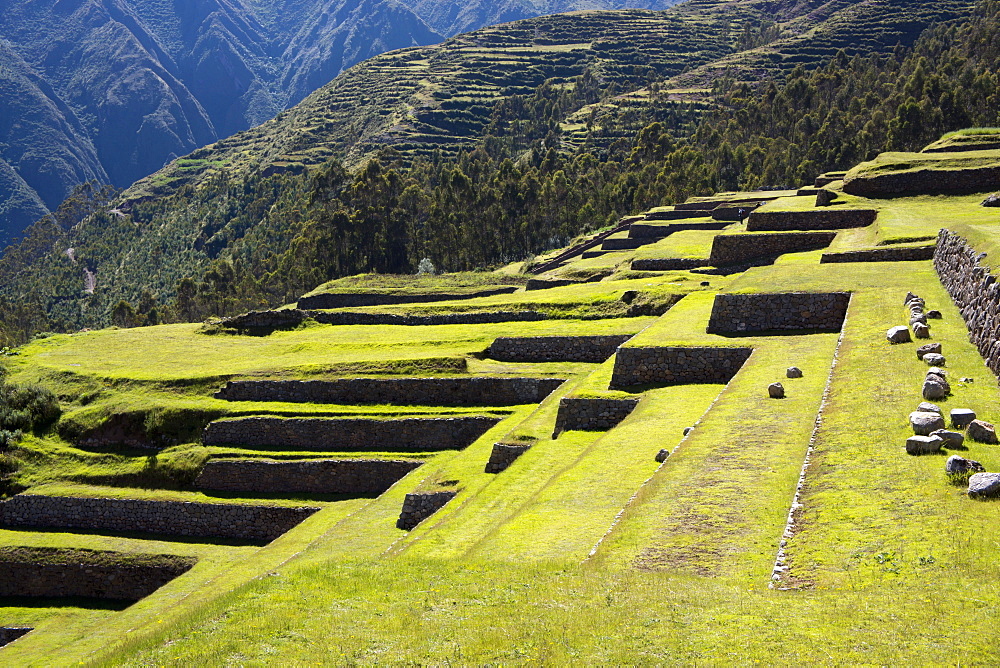 Inca terracing, Chinchero, Peru, South America 