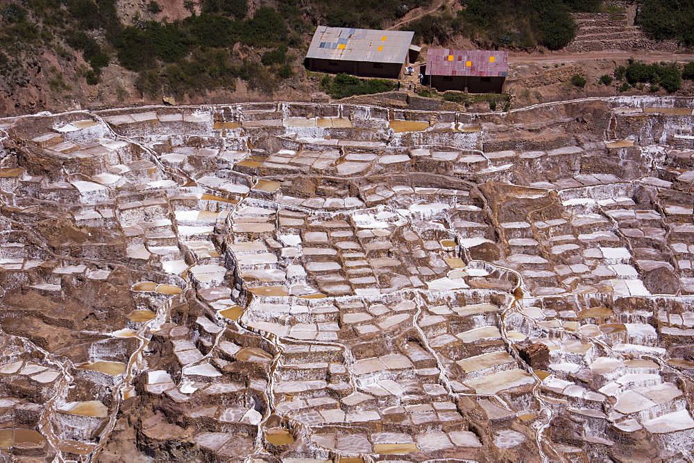 The salt mines of Las Salinas de Maras, where each little plot is individually owned, Peru, South America 