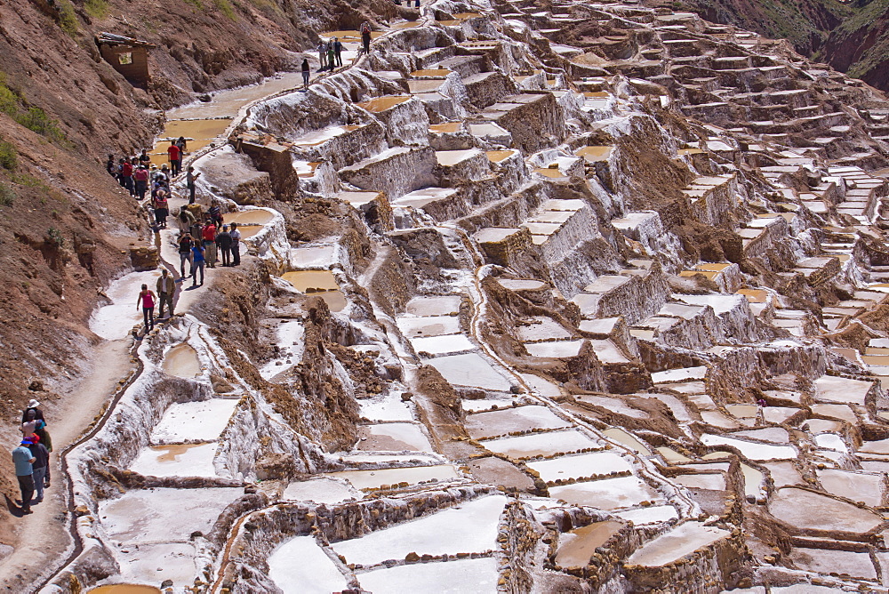 The salt mines of Las Salinas de Maras, where each little plot is individually owned, Peru, South America 