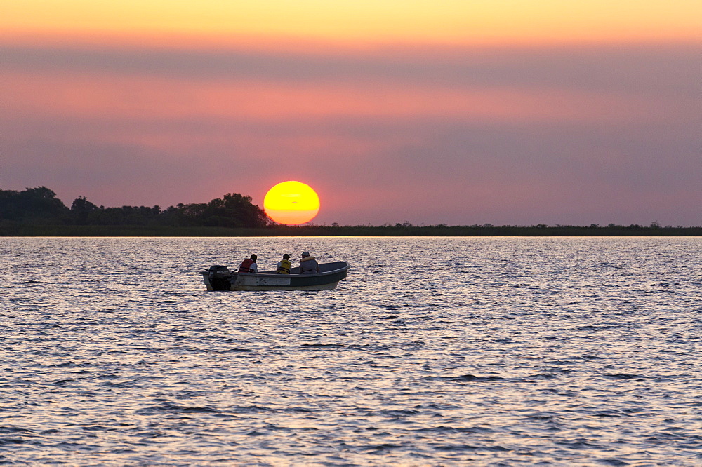 Ibera National Park, Argentina, South America