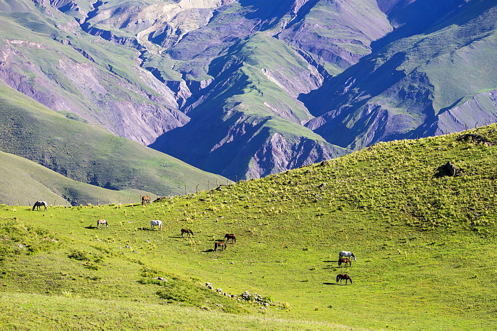 Landscape in the Andes, Argentina, South America