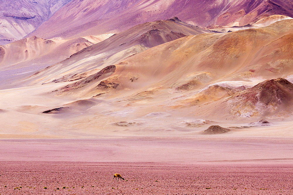 Atacama Desert, Chile, South America