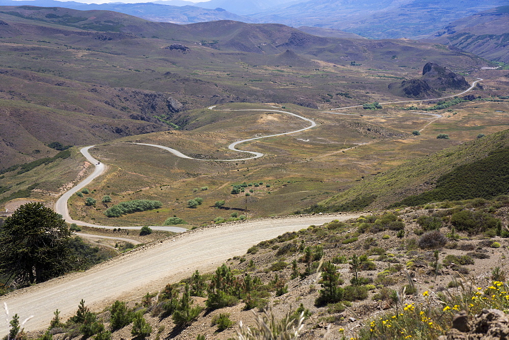 Winding road, foothills of the Andes, Argentina, South America