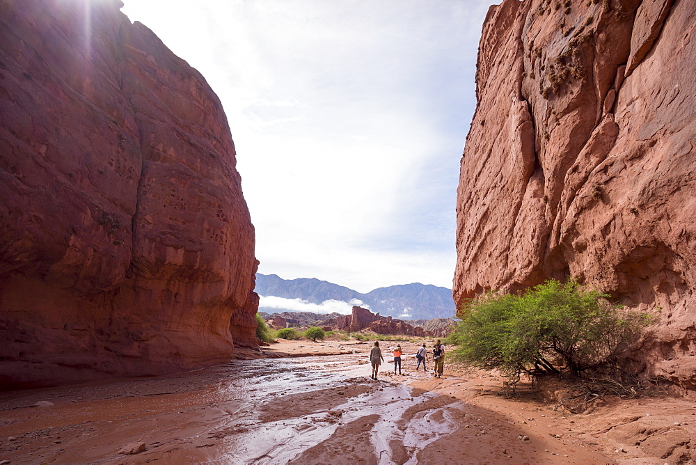 Heavy erosion, Los Colorados, Salta region, Argentina, South America