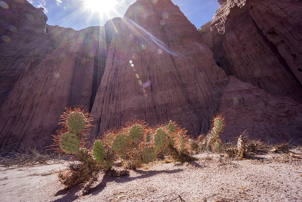 Los Colorados, Salta region, Argentina, South America