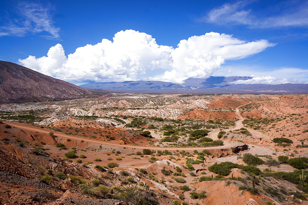 Valle Tin Tin, Los Cardones Park, Argentina, South America