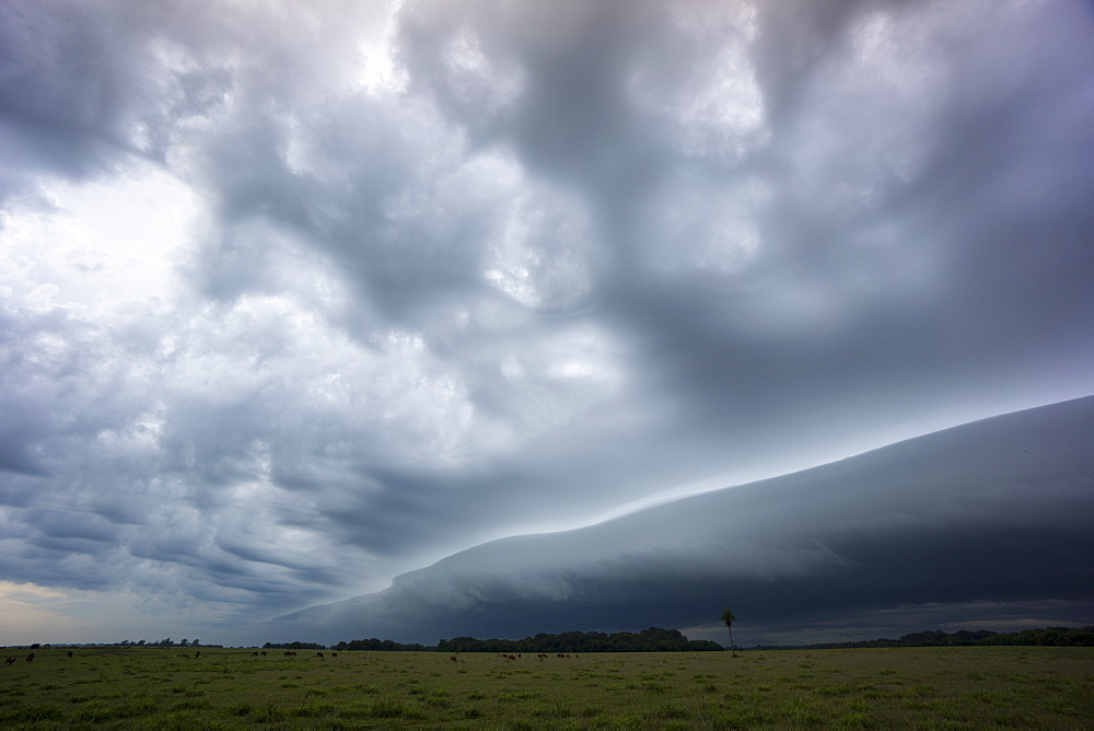 Stormy skies, Parque National Ibera, Argentina, South America