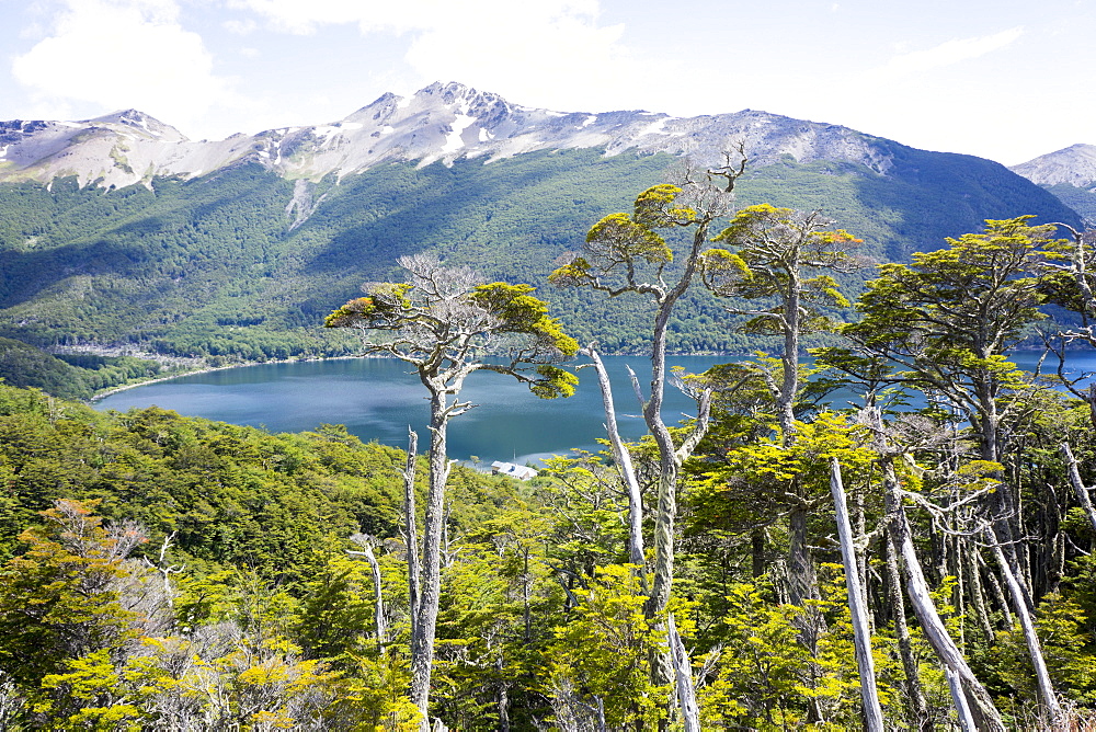 Alerces National Park, Argentina, South America