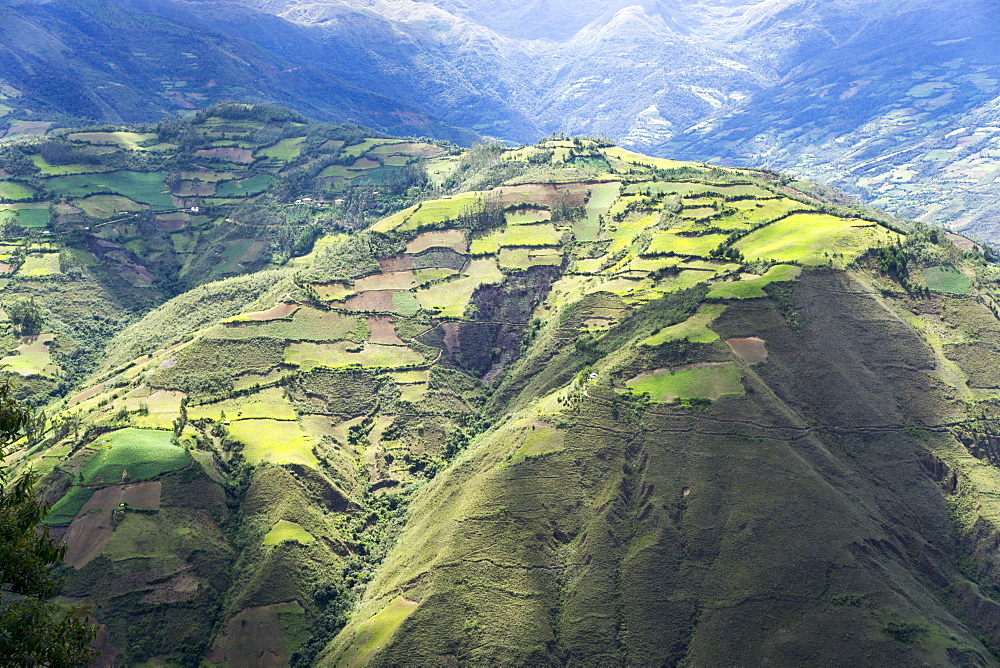 Kuelap, precolombian ruin of citadel city, Chachapoyas view, Peru, South America