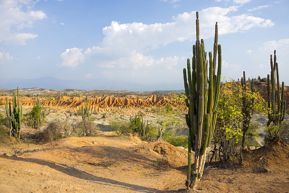 Desierto de Tatocoa (Tatacoa Desert), Colombia, South America