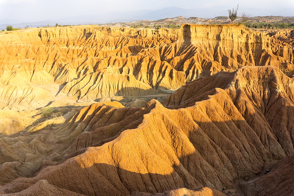 Desierto de Tatocoa (Tatacoa Desert), Colombia, South America