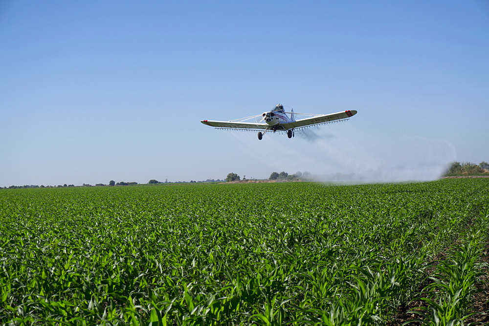 Large scale agriculture and crop spraying, Mexico, North America