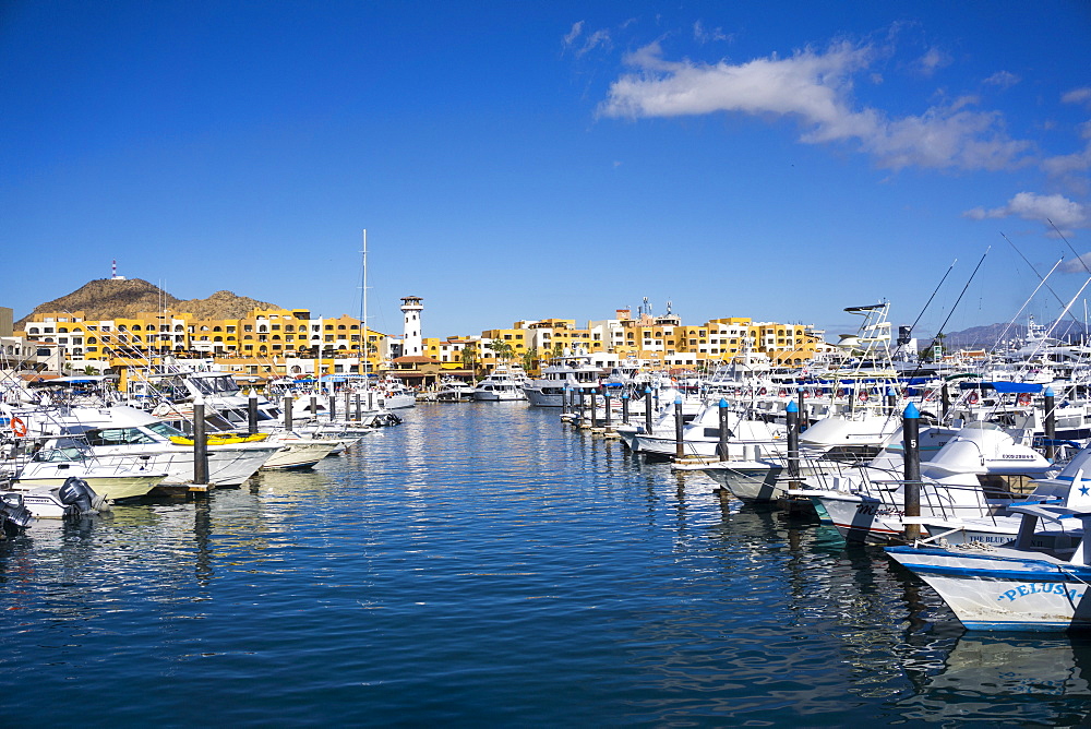 Cabo San Lucas Marina, Baja California, Mexico, North America