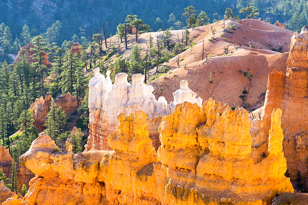 Sunrise View Piont, Bryce National Park, Utah, United States of America, North America