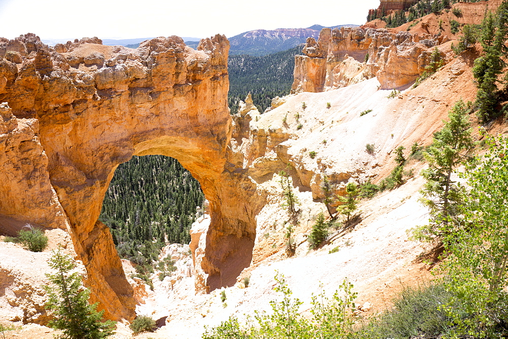 Natural bridge, Bryce National Park, Utah, United States of America, North America