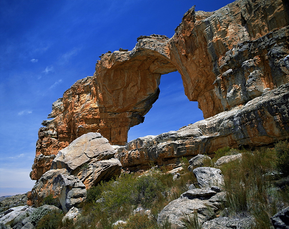 Cederberg, Western Cape province, South Africa, Africa