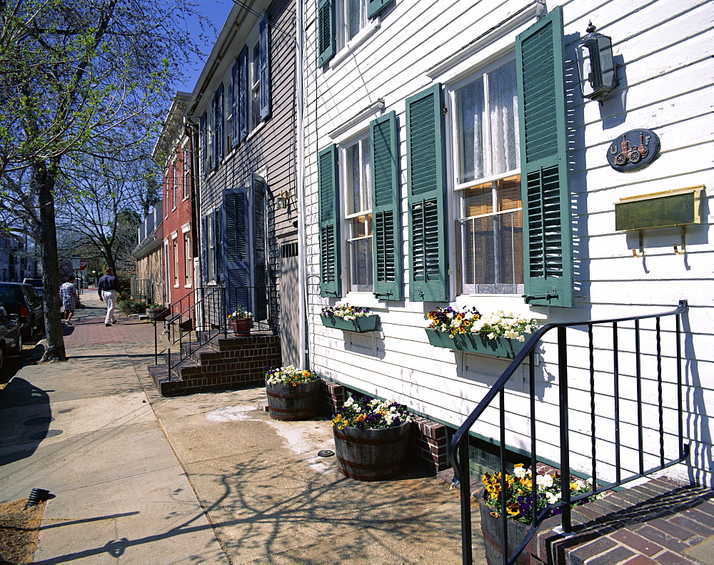 Exterior of houses on a typical street, Annapolis, Maryland, United States of America (USA), North America