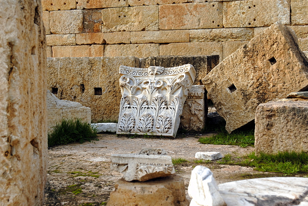 Severan forum, Leptis Magna, UNESCO World Heritage Site, Libya, North Africa, Africa